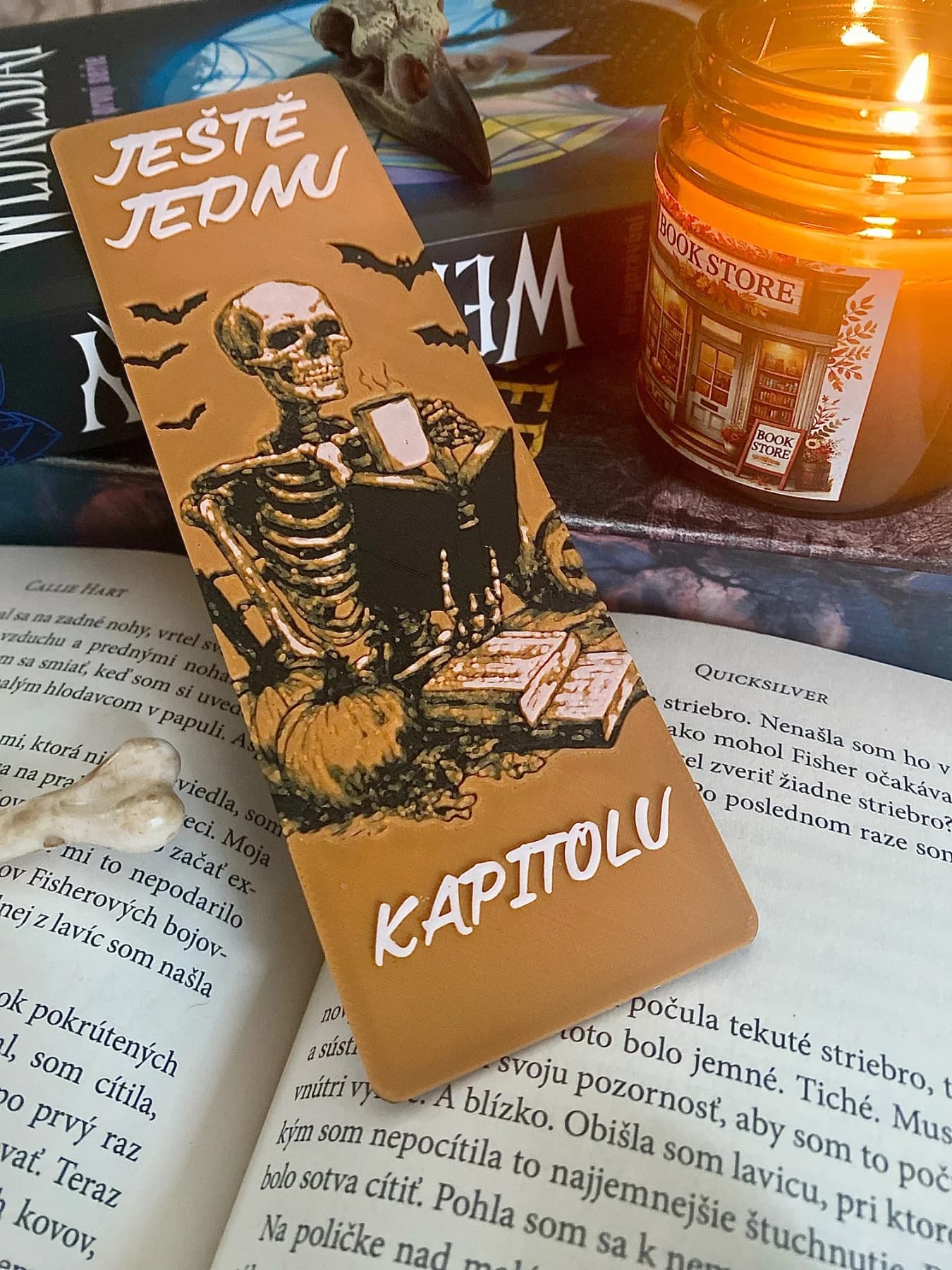 Záložka – Ještě jednu kapitolu